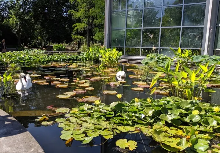 Tropicarium