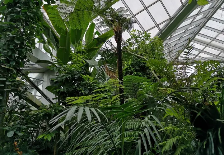 Tropicarium