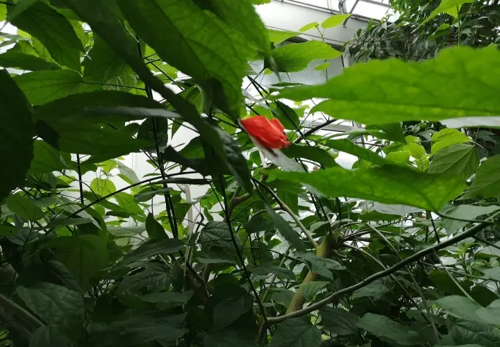 Tropicarium
