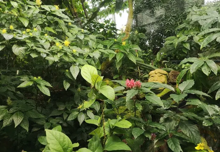 Tropicarium