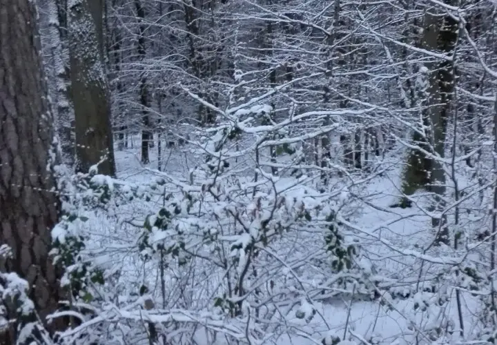 Freizeitpark Rodenbach