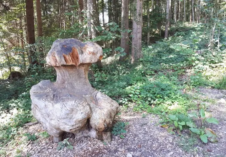 Märchenpfad Bischofswiesen