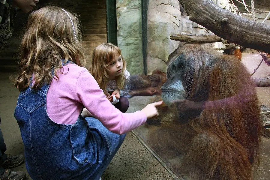 Zoo Frankfurt