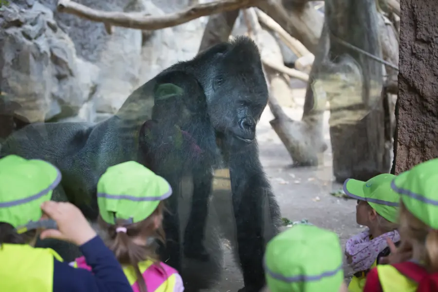 Zoo Frankfurt