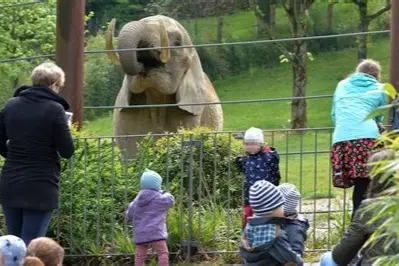 Zoo Frankfurt