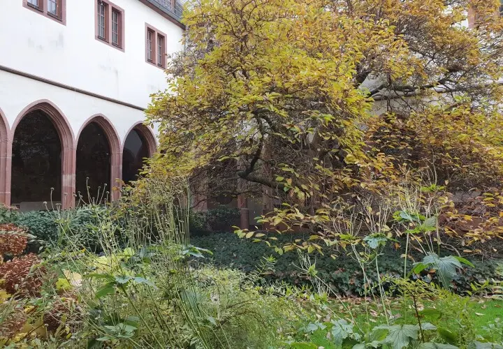 Archäologisches Museum Frankfurt