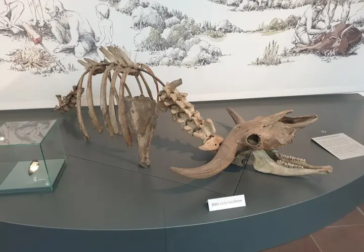 Archäologisches Museum Frankfurt