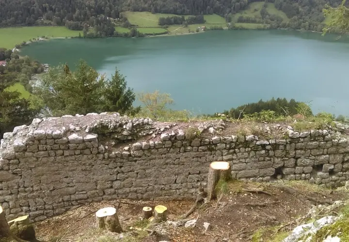 Burgruine Hohenwaldeck