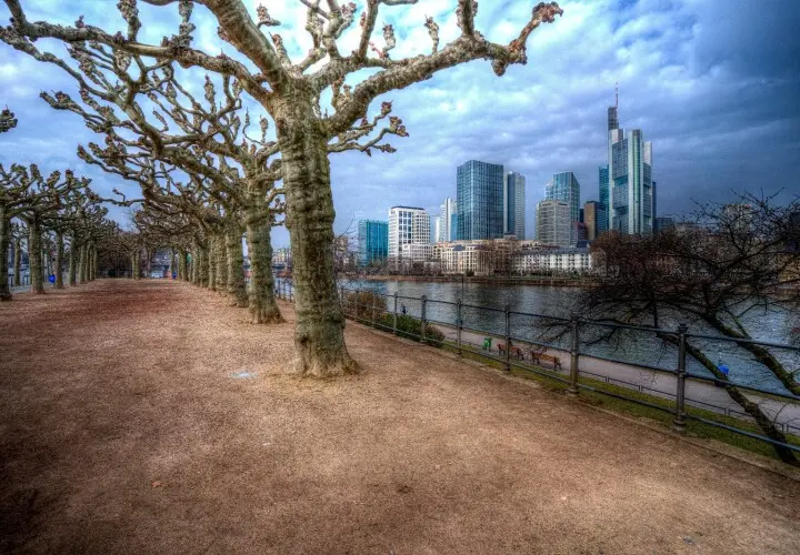 Museumsufer Frankfurt