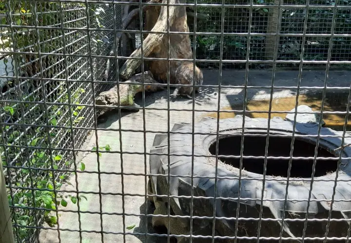Offenbacher Waldzoo