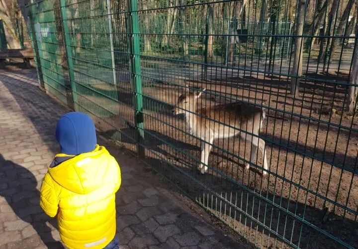 Gonsenheimer Wildpark