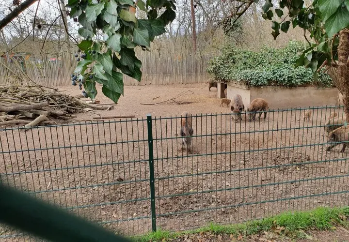 Gonsenheimer Wildpark