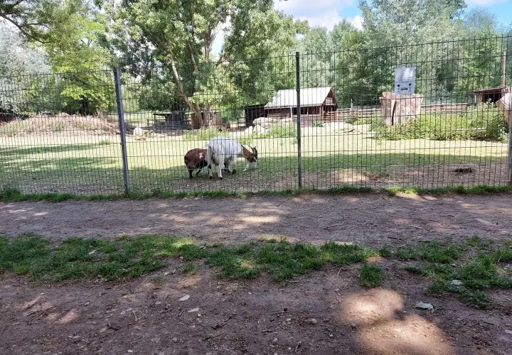 Tierpark Mainz-Kastel
