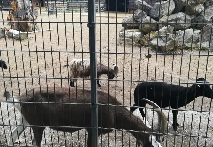 Tierpark Mainz-Kastel