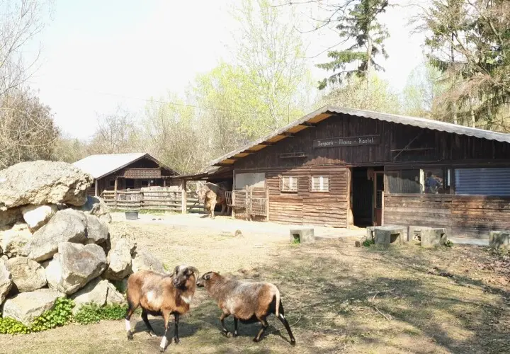 Tierpark Mainz-Kastel