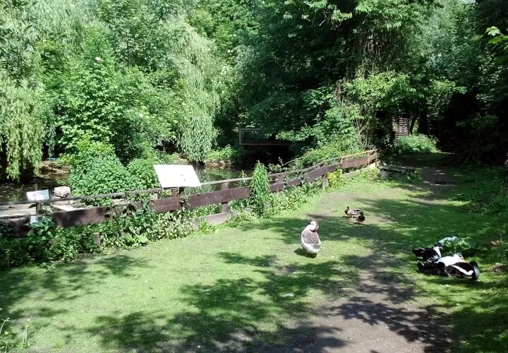 Tierpark Mainz-Kastel