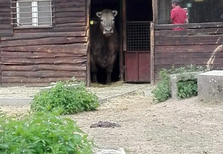 Tierpark Mainz-Kastel