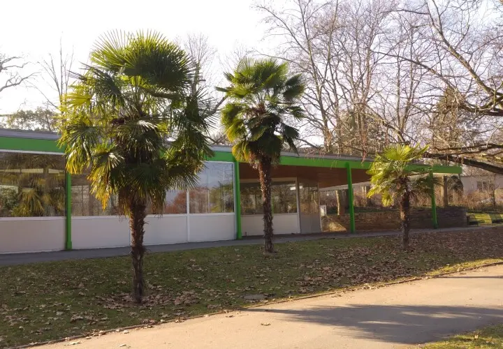 Vogelhaus Mainz im Stadtpark