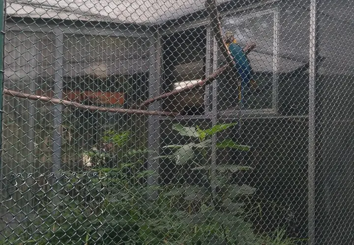 Vogelhaus Mainz im Stadtpark