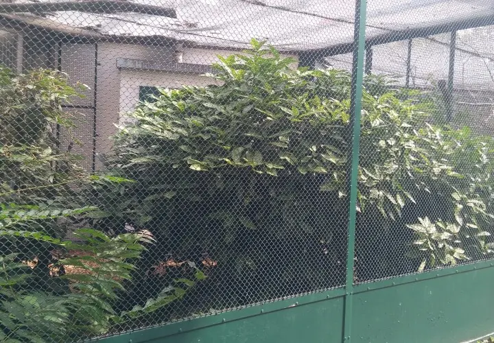 Vogelhaus Mainz im Stadtpark