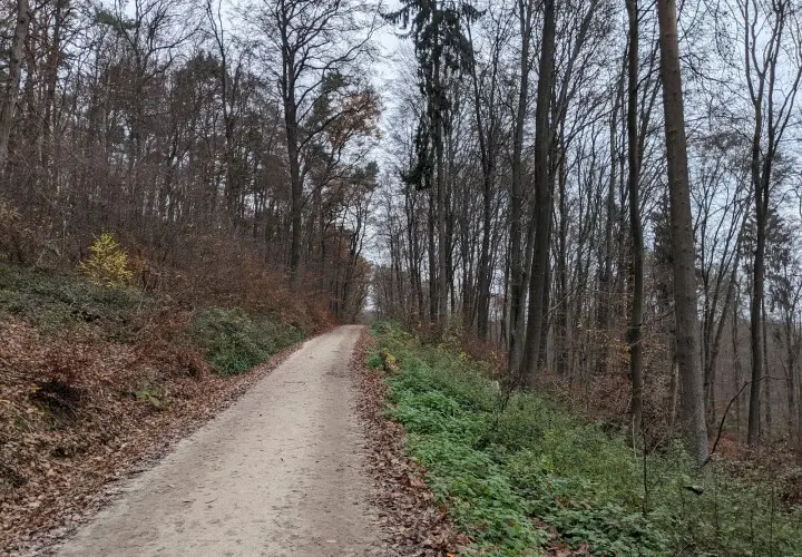 Wildpark Hofheim am Taunus
