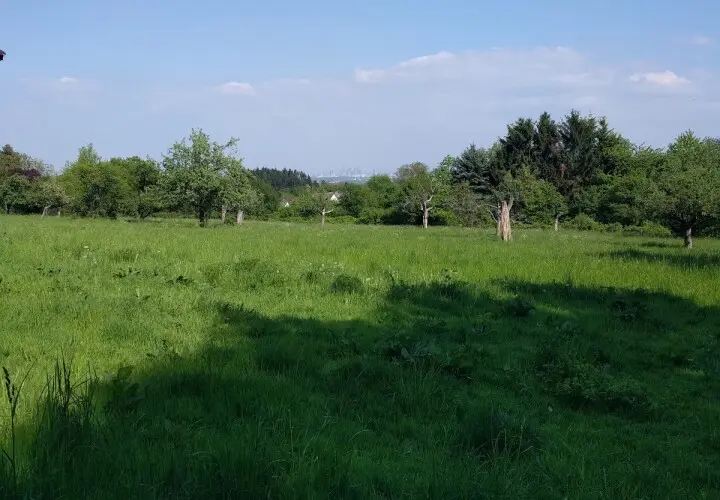 Wildpark Hofheim am Taunus
