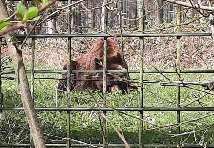 Tier- und Pflanzenpark Fasanerie Wiesbaden