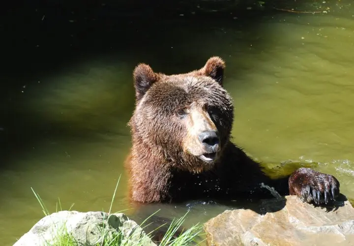 Tier- und Pflanzenpark Fasanerie Wiesbaden