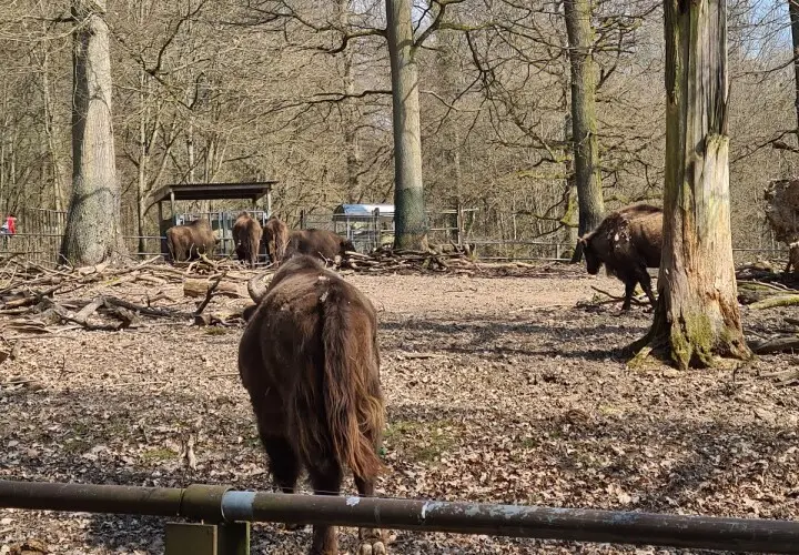 Tier- und Pflanzenpark Fasanerie Wiesbaden