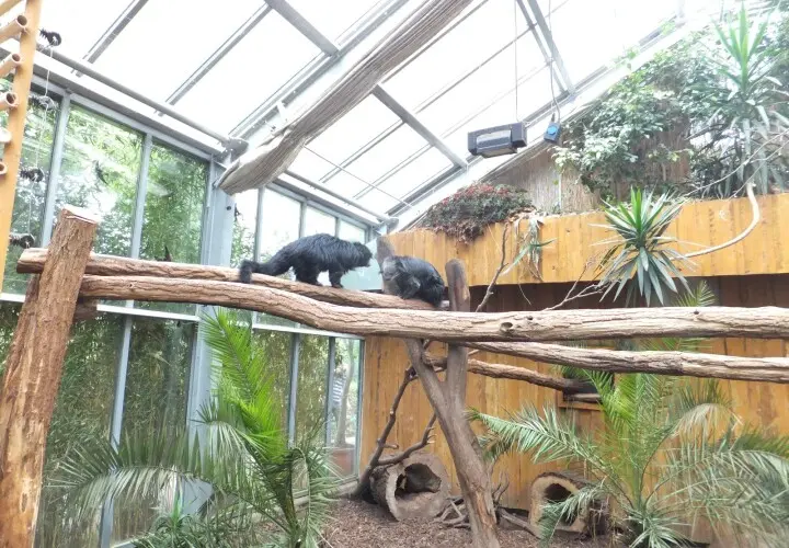 Zoo Vivarium Darmstadt