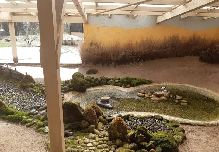 Zoo Vivarium Darmstadt