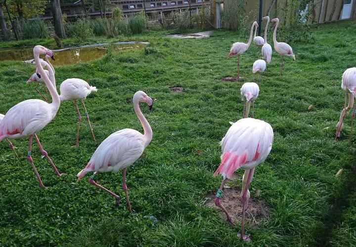 Zoo Vivarium Darmstadt