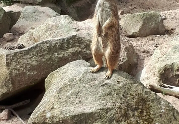 Zoo Kaiserslautern