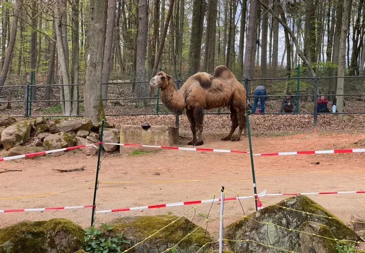 Zoo Kaiserslautern