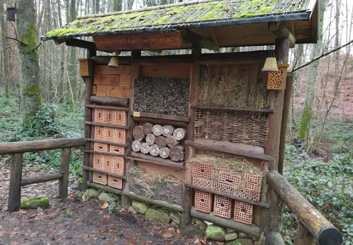 Zoo Kaiserslautern