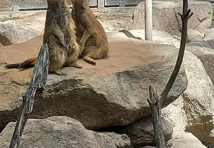 Zoo Kaiserslautern