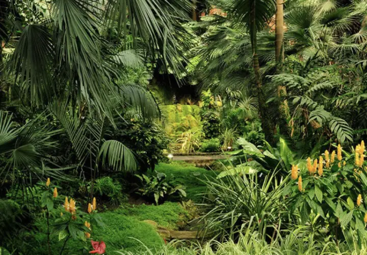 Palmengarten der Stadt Frankfurt am Main