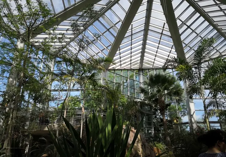 Palmengarten der Stadt Frankfurt am Main