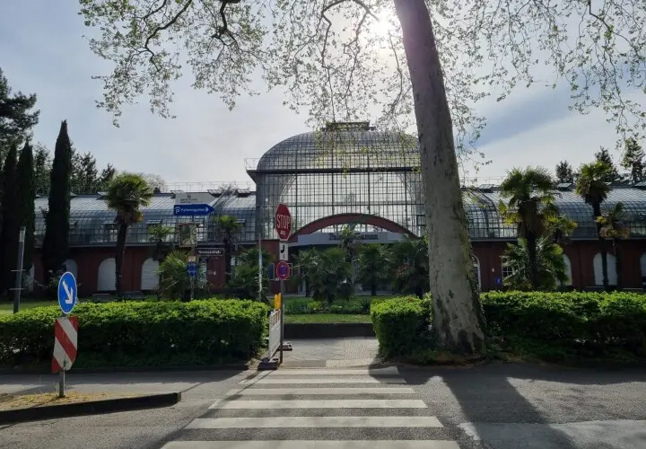 Grüneburgpark
