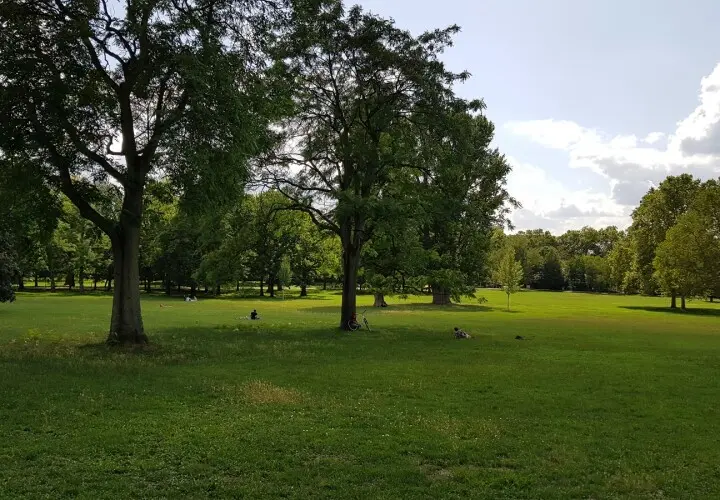 Grüneburgpark