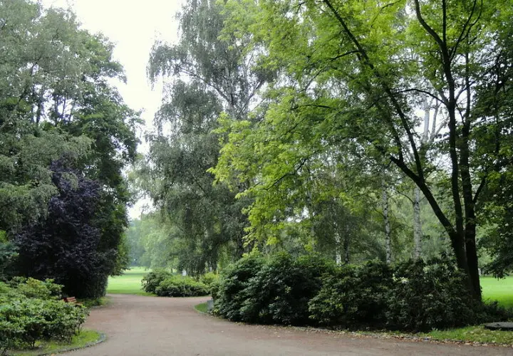 Grüneburgpark