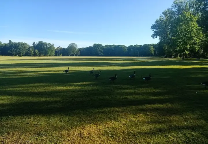 Ostpark