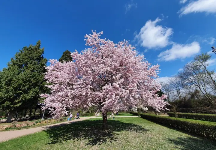 Ostpark