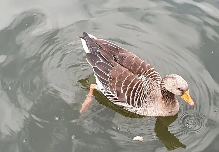Ostpark