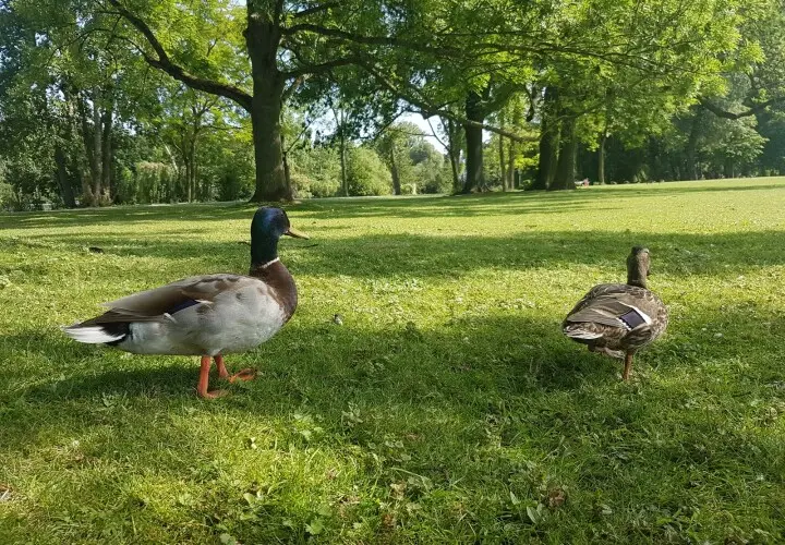 Ostpark