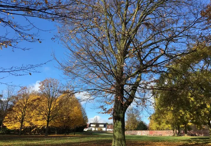Günthersburgpark