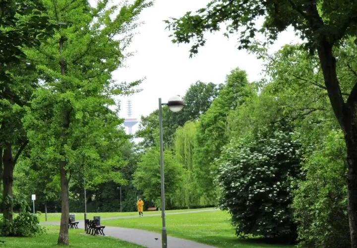 Martin-Luther-King-Park
