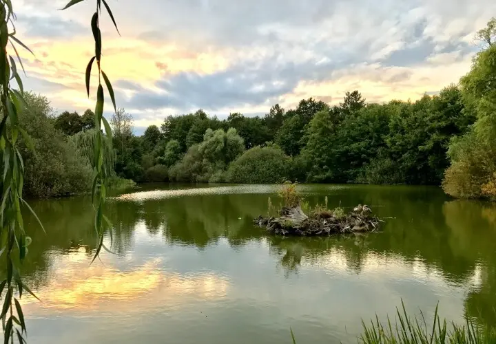 Martin-Luther-King-Park