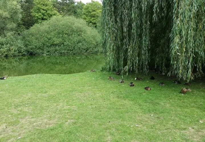 Martin-Luther-King-Park