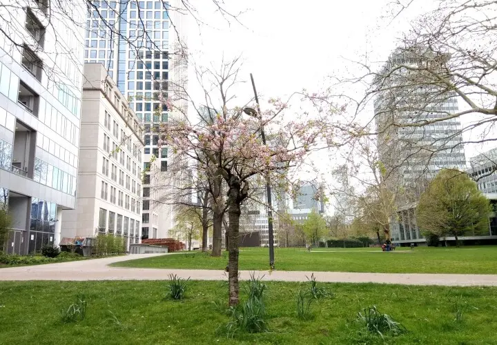 Rothschildpark
